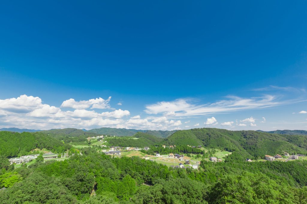 コンドミニアムから見た景色